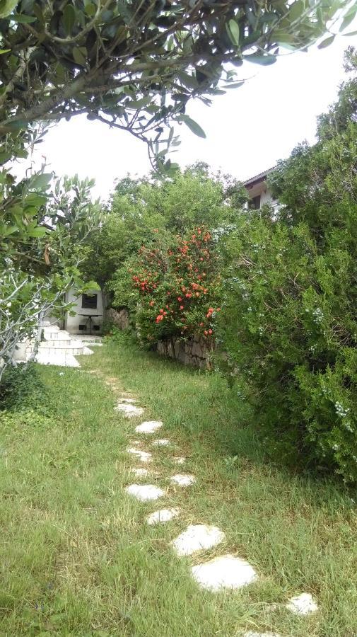 Casa Blanka Apartment Novi Vinodolski Bagian luar foto